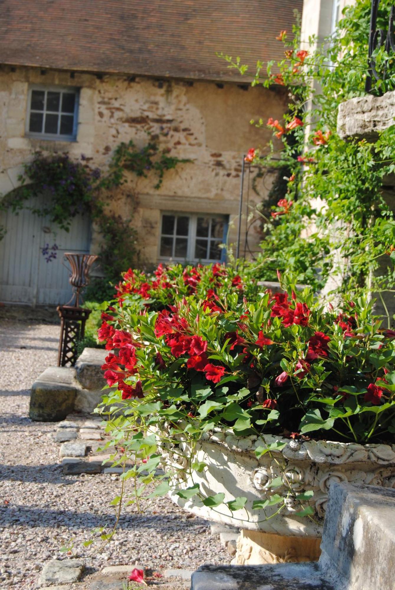 Chateau De Montchoisy Chezelle Eksteriør bilde